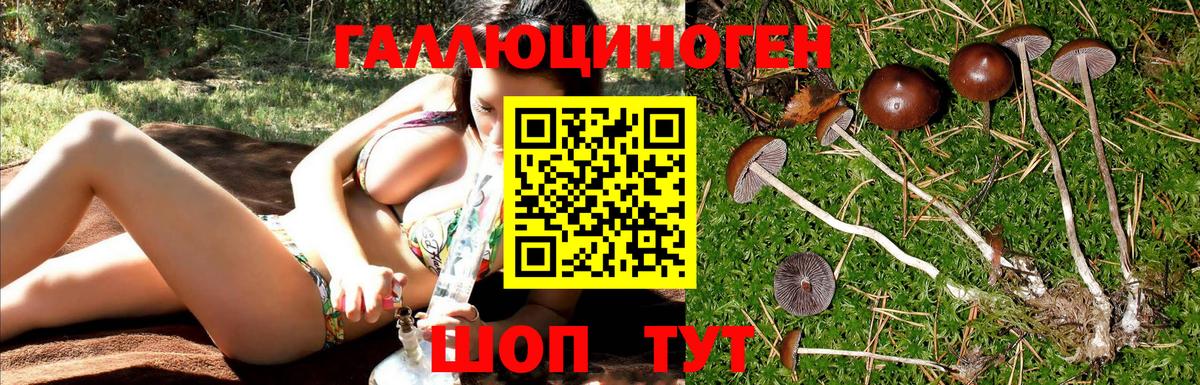 Лангепас  Псилоцибиновые грибы Psilocybine cubensis  купить наркотик  Вход с VPN  Псилоцибиновые грибы Psilocybine cubensis 